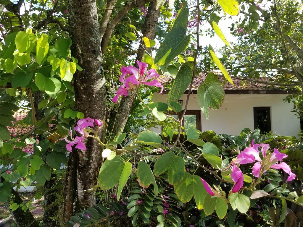 Holiday Home At Rio Mar Rio Grande Esterno foto